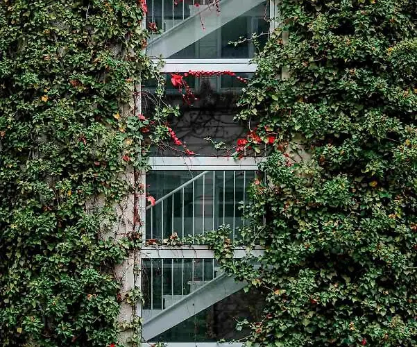 Boutique Atrium 4*